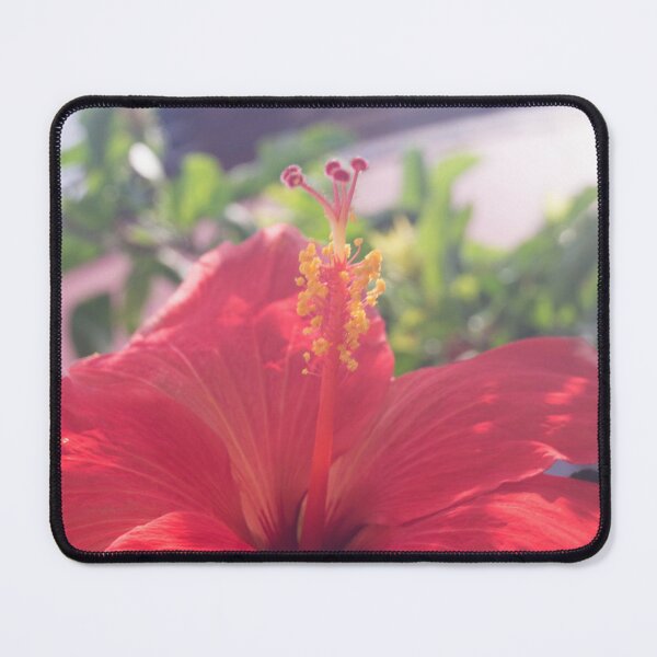 Item preview, Chinese Hibiscus designed and sold by ROSE ANN BANILAR.