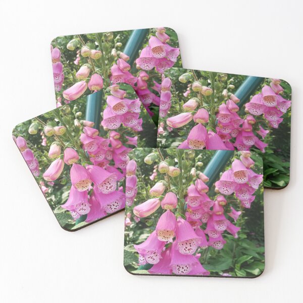 Item preview, Vibrant Pink Foxglove Flowers in Hong Kong – Botanical Garden Photography designed and sold by pbchan.