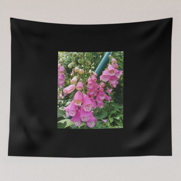 Item preview, Vibrant Pink Foxglove Flowers in Hong Kong – Botanical Garden Photography designed and sold by pbchan.