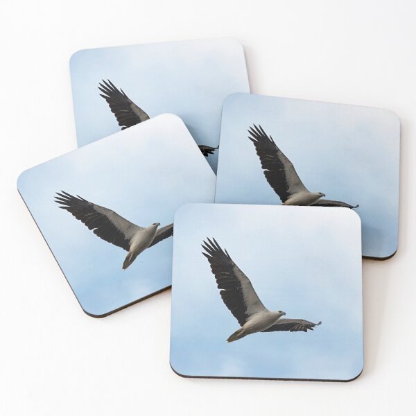 Item preview, White-bellied sea eagle in flight designed and sold by BirdsAlive.