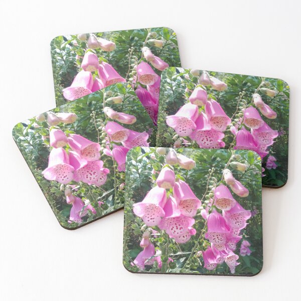 Item preview, Pink Foxglove Flowers in Hong Kong – Botanical Garden Photography designed and sold by pbchan.