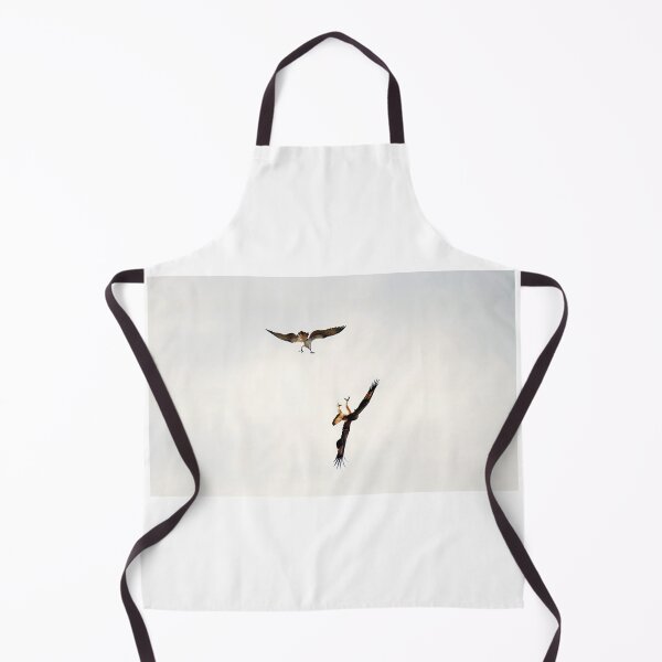 Item preview, Osprey and Sea Eagle discussing air space designed and sold by BirdsAlive.