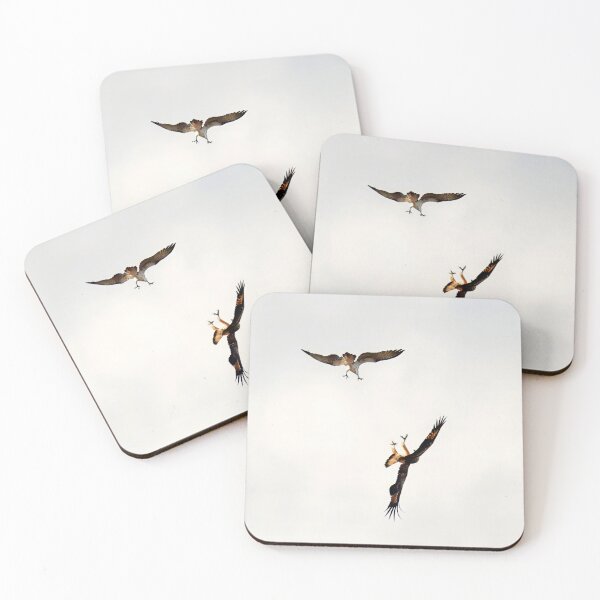 Item preview, Osprey and Sea Eagle discussing air space designed and sold by BirdsAlive.