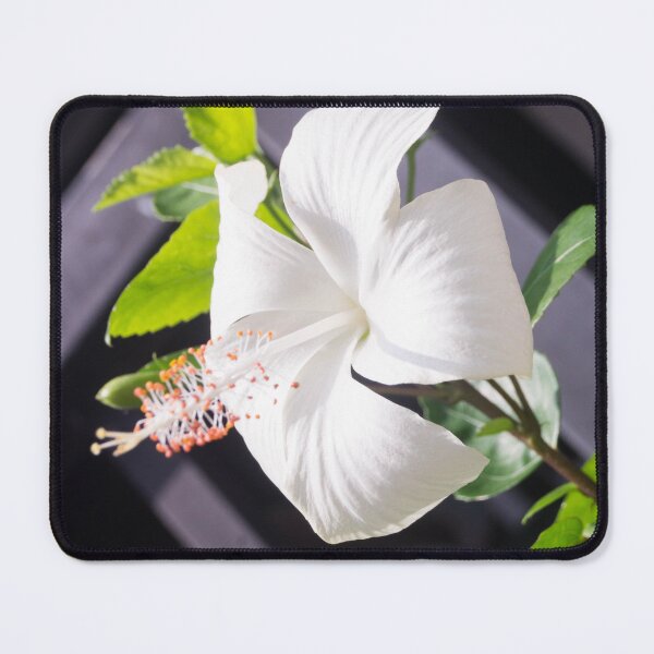 Item preview, White Hibiscus Flower_02 designed and sold by ROSE ANN BANILAR.