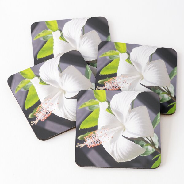 Item preview, White Hibiscus Flower_02 designed and sold by ROSE ANN BANILAR.