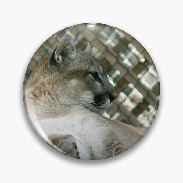 Item preview, Cougar designed and sold by CarolM.
