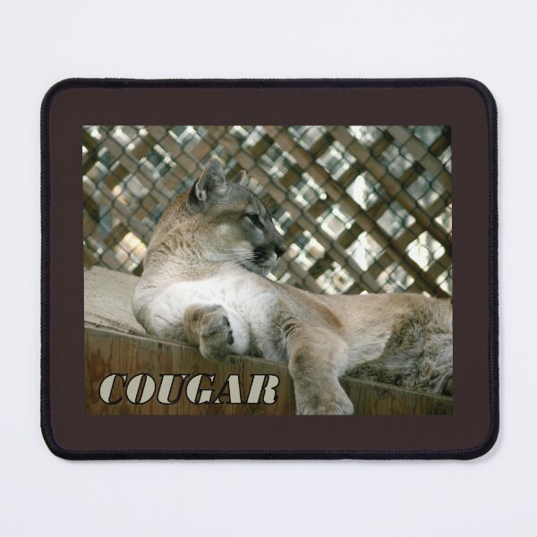 Item preview, Cougar designed and sold by CarolM.
