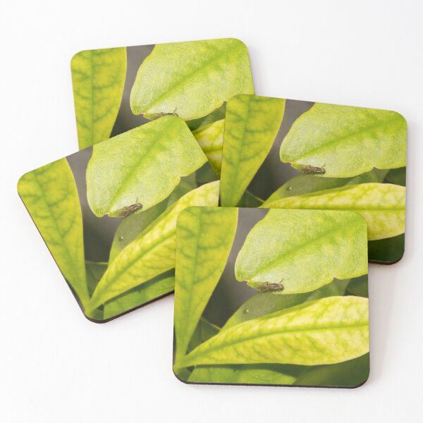 Item preview, Shore Fly designed and sold by ROSE ANN BANILAR.