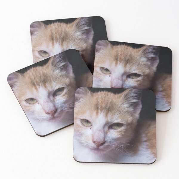 Item preview, Cat Looking Afar_03 designed and sold by ROSE ANN BANILAR.