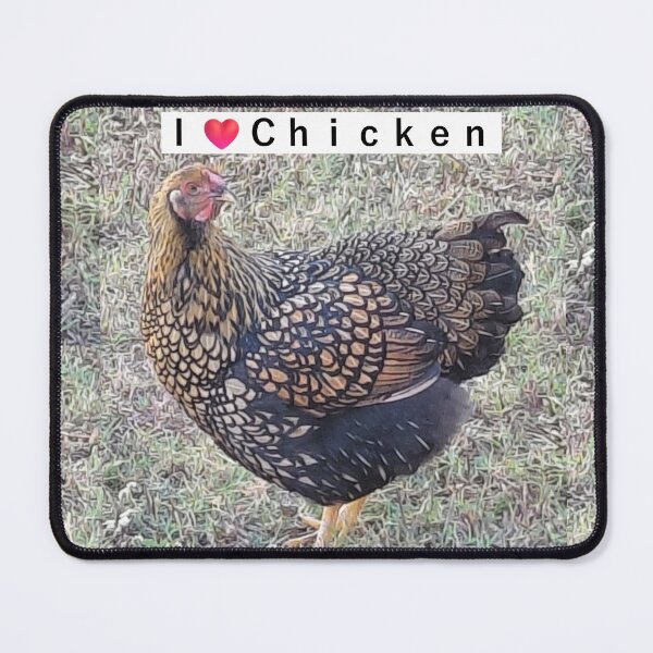 Item preview, I Love Chicken – Golden Laced Wyandotte Hen Farm Animal Photography designed and sold by pbchan.
