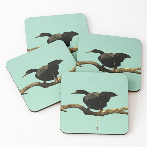 Item preview, Australasian Darter preparing for flight designed and sold by BirdsAlive.