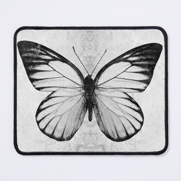 Item preview, Sawtooth Butterfly Wings Spread Specimen Entomology Study designed and sold by Ghoul Enterprises.