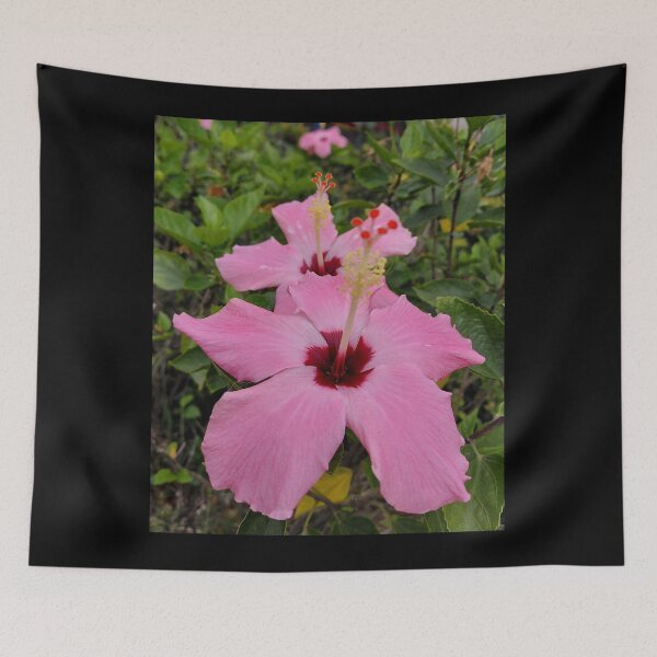 Item preview, Hong Kong Pink Hibiscus designed and sold by pbchan.