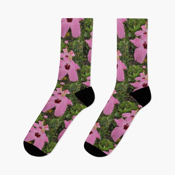 Item preview, Hong Kong Pink Hibiscus designed and sold by pbchan.