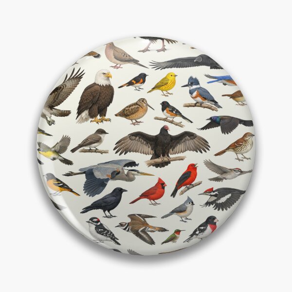 Item preview, Native Birds of West Virginia Retro Identification Chart designed and sold by kakarikihill.