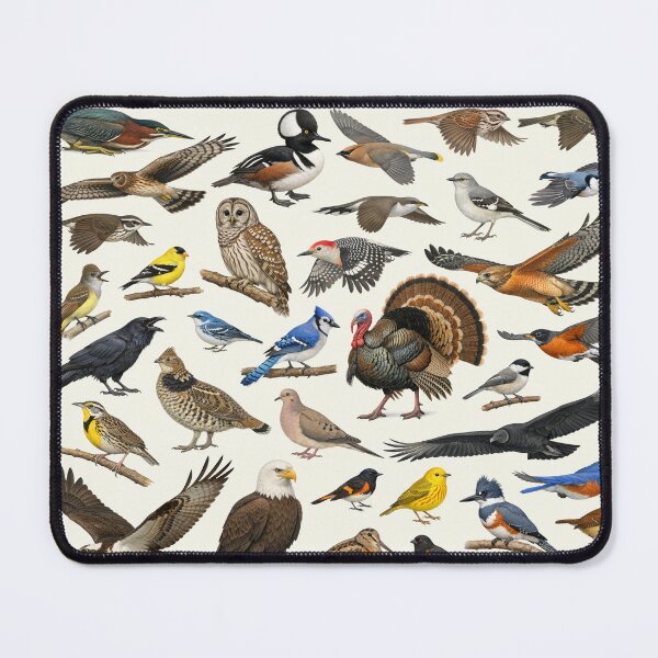 Item preview, Native Birds of West Virginia Retro Identification Chart designed and sold by kakarikihill.