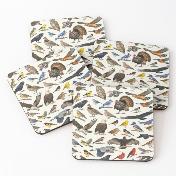 Item preview, Native Birds of West Virginia Retro Identification Chart designed and sold by kakarikihill.