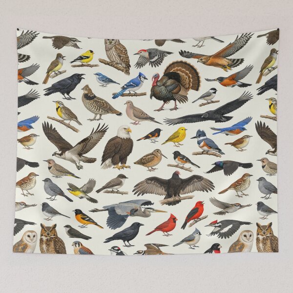 Item preview, Native Birds of West Virginia Retro Identification Chart designed and sold by kakarikihill.