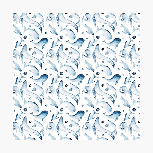 save the whales Photographic Print