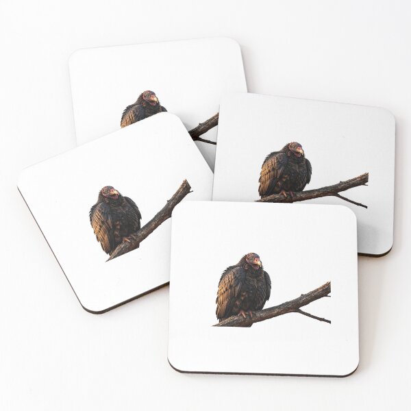 Item preview, Turkey Vulture Gothic Dark Academia Bird Art designed and sold by Helt-enkelt.