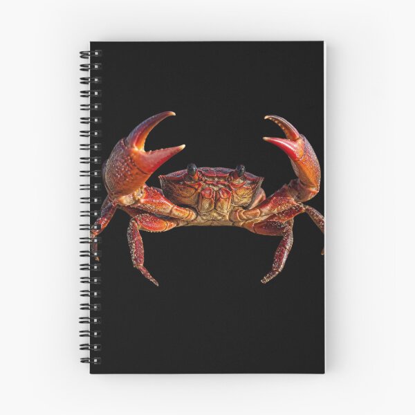 Item preview, Realistic Red Crab Claws Up Marine Wildlife Graphic Art designed and sold by CooperBallard.