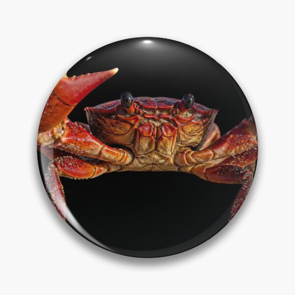 Item preview, Realistic Red Crab Claws Up Marine Wildlife Graphic Art designed and sold by CooperBallard.