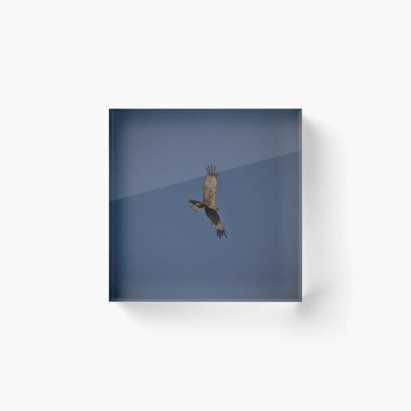 Item preview, Frozen reality - Beautiful nature 999 designed and sold by deep-sea-birds.