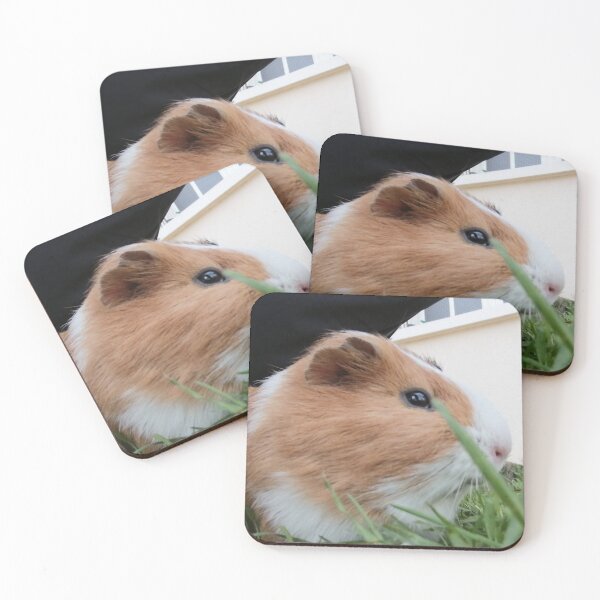 Item preview, Guinea pig designed and sold by Les créations de Coco.