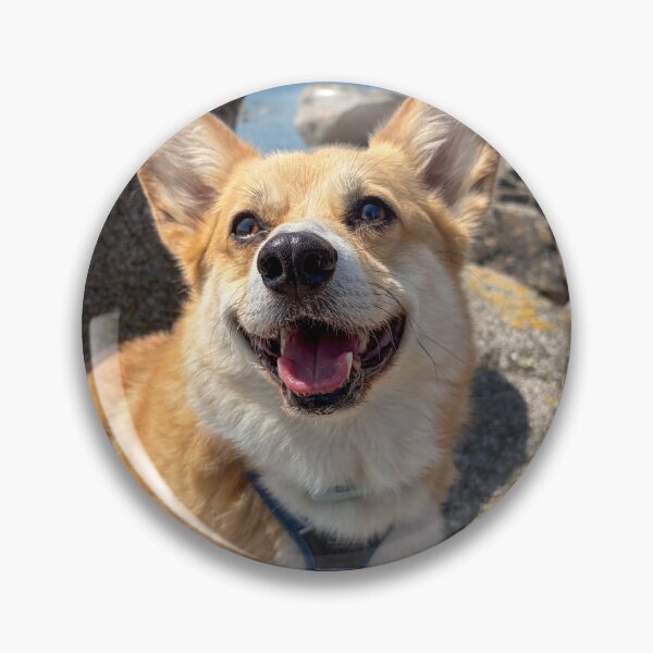 Item preview, A corgi on vacation designed and sold by willy92.