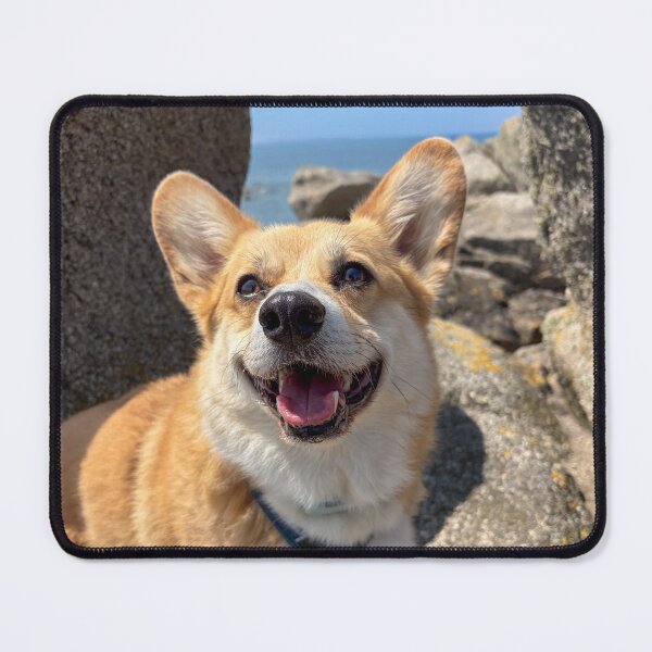 Item preview, A corgi on vacation designed and sold by willy92.