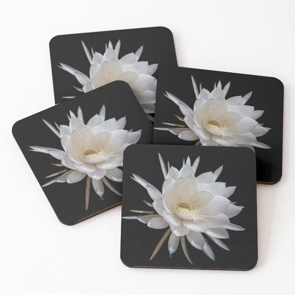 Item preview, Night Blooming Cereus White Flower Botanical Art Print designed and sold by ElizabethMullig.