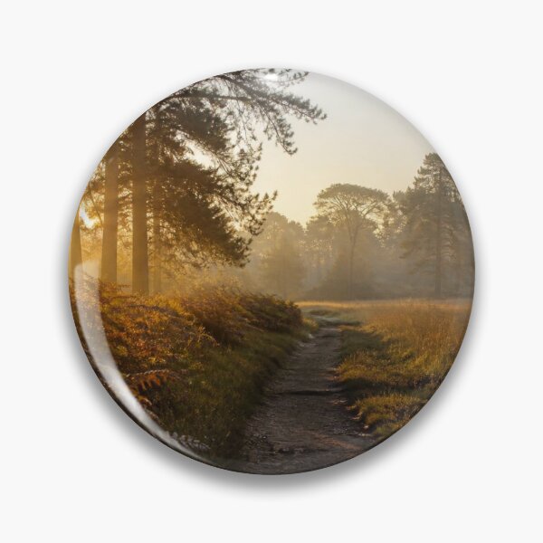 Item preview, Golden Sunrise Through Pine Trees in Woking, Surrey designed and sold by ThatSurreyLife.
