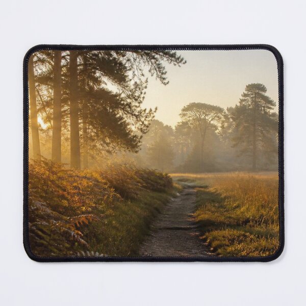 Item preview, Golden Sunrise Through Pine Trees in Woking, Surrey designed and sold by ThatSurreyLife.