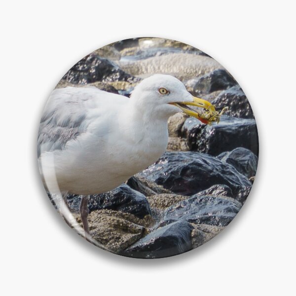 Item preview, Seagull designed and sold by TheScarletLens.