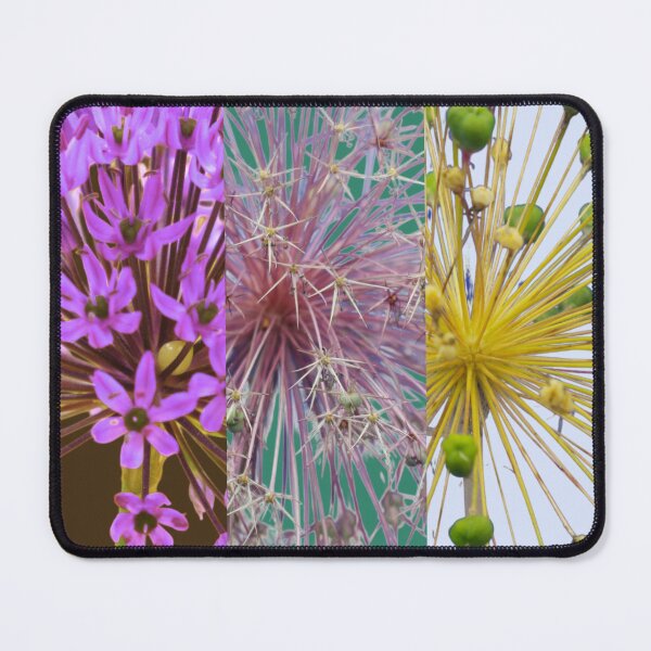 Item preview, Minimalist Allium Decorative Garlic Flower Macro Photography Collage designed and sold by JurateArt-DK.