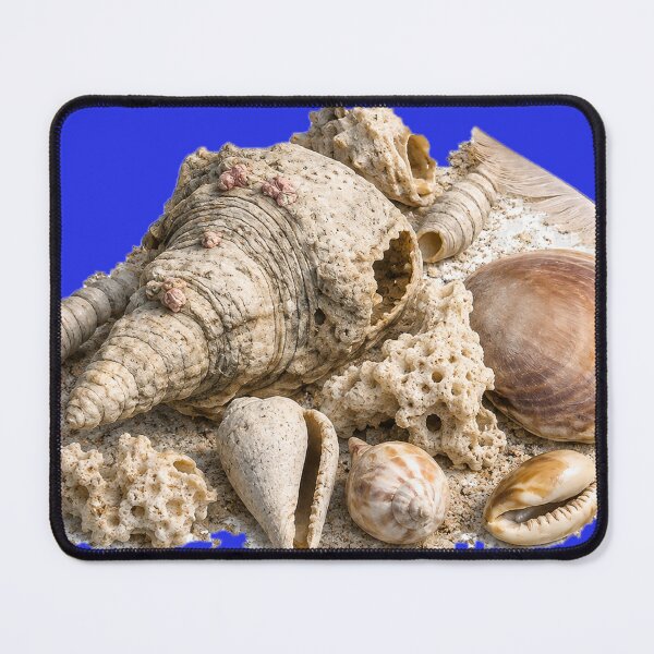 Item preview, Beachcombing designed and sold by Malwasneues .