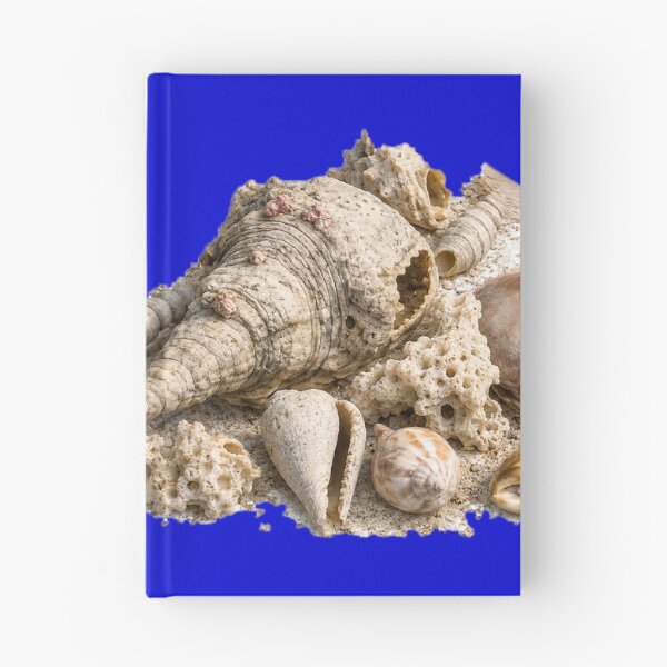 Item preview, Beachcombing designed and sold by Malwasneues.