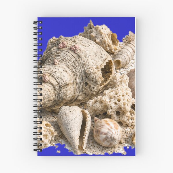 Item preview, Beachcombing designed and sold by Malwasneues.