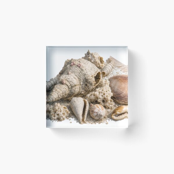 Item preview, Beachcombing designed and sold by Malwasneues.