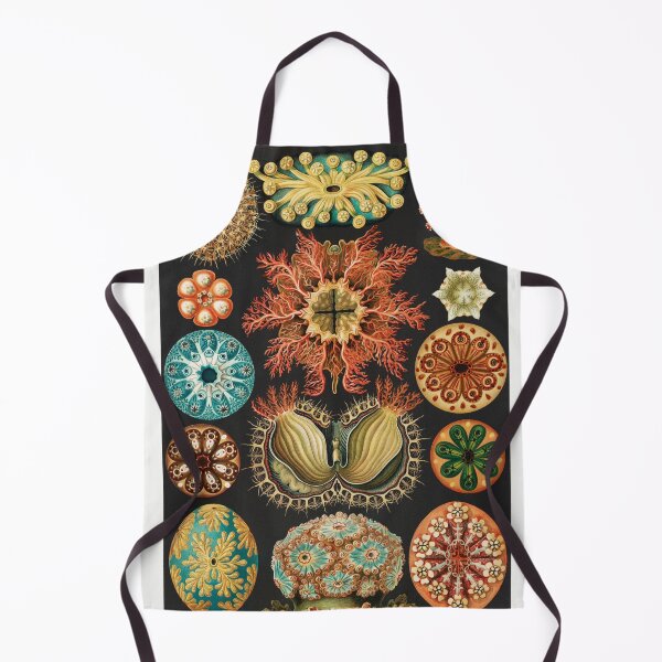 Item preview, Ascidian • Ernst Haeckel • Ascidiae–Seescheiden from Kunstformen der Natur (1904) designed and sold by Mermaid's Treasure.