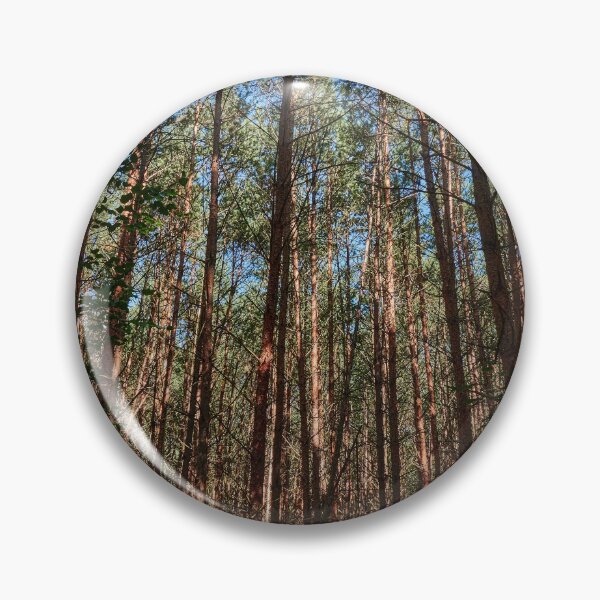 Item preview, Reaching for the Sun designed and sold by Eidetic Photos.