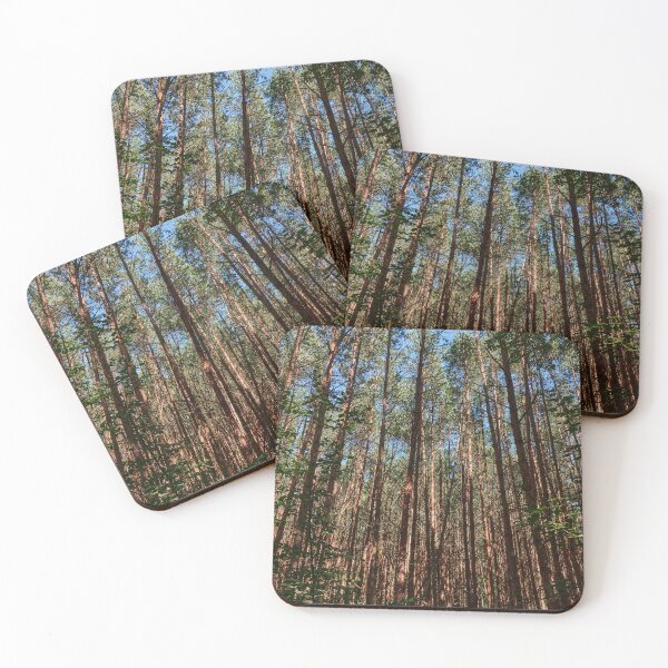 Item preview, Reaching for the Sun designed and sold by Eidetic Photos.