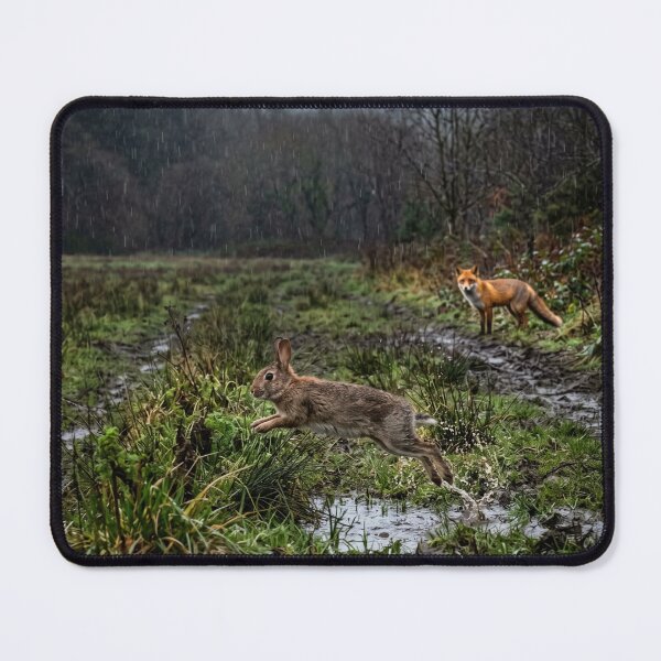 Item preview, hare and fox designed and sold by cutegiftcore.