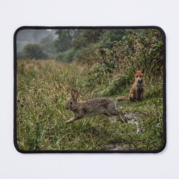 Item preview, Hase und Fuchs designed and sold by cutegiftcore.
