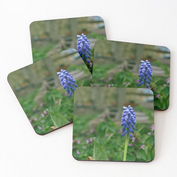Item preview, Grape Hyacinth designed and sold by Eidetic Photos.
