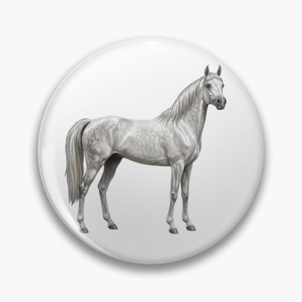 Item preview, A grey Arabian horse of the Abbayan lineage designed and sold by Cheval-de-coeur.