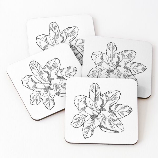 Item preview, Hand-Drawn Broad-Leaved Tropical Plant Symbol in Plan View designed and sold by zanaxxer.