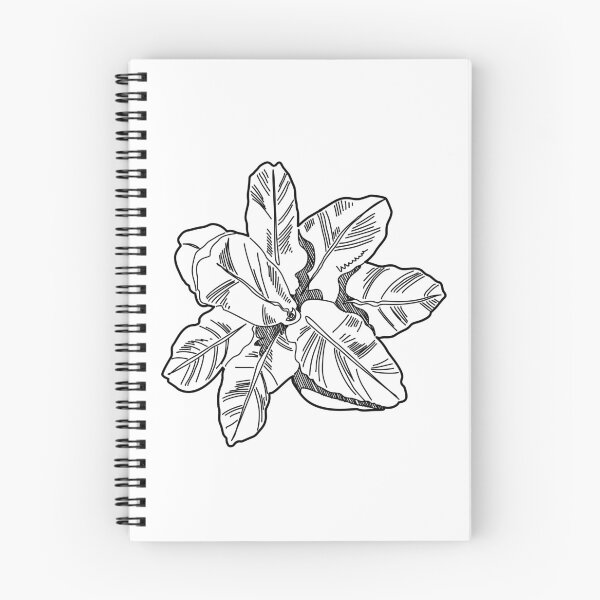 Item preview, Hand-Drawn Broad-Leaved Tropical Plant Symbol in Plan View designed and sold by zanaxxer.