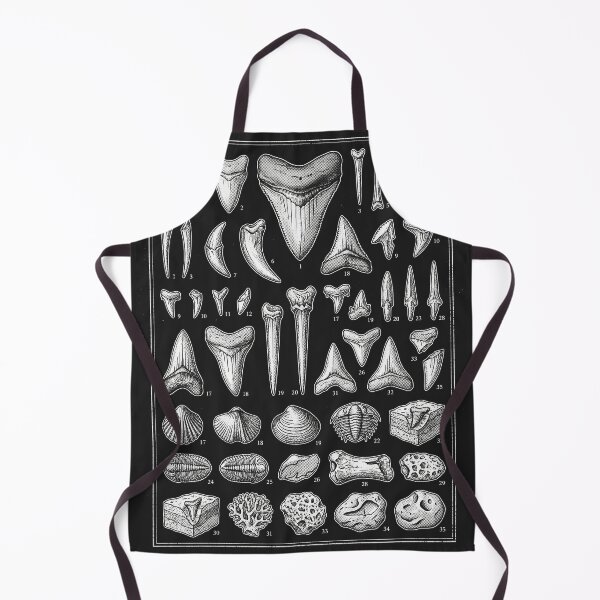 Item preview, Megalodon Shark Teeth Paleontology Fossil Specimens designed and sold by legendaryskins.