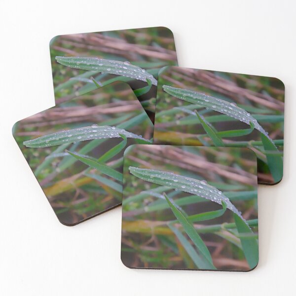 Item preview, Dewdrops on Grass Blade – Fresh Nature Macro designed and sold by ShotsbyDesiree.